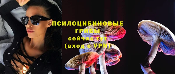 стафф Алзамай