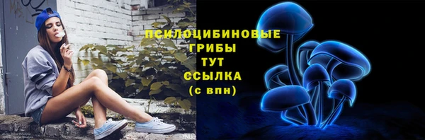 ГАЛЛЮЦИНОГЕННЫЕ ГРИБЫ Алексеевка