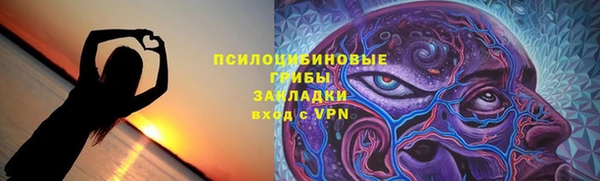 стафф Алзамай