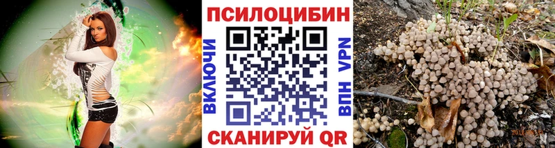 Галлюциногенные грибы Cubensis  Кемь 